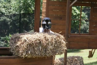 Juegando al paintball